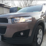 Защита радиатора "Standart" Chevrolet Captiva рестайлинг (2013-2015) чёрная купить недорого с доставкой в Губкин